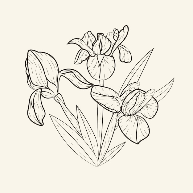 Hand drawn simple flower outline illustration