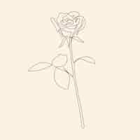 Free vector hand drawn simple flower outline