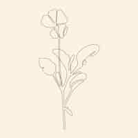 Free vector hand drawn simple flower outline