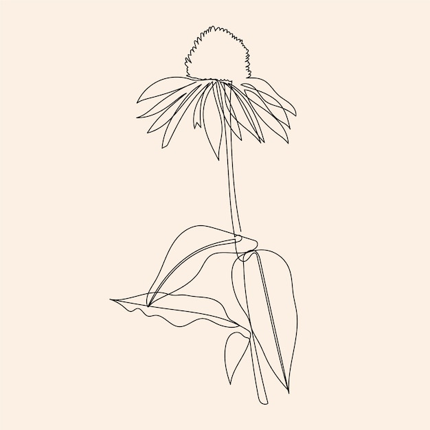 Hand drawn simple flower outline