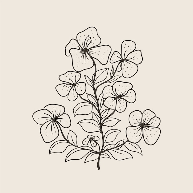 Free vector hand drawn simple flower outline