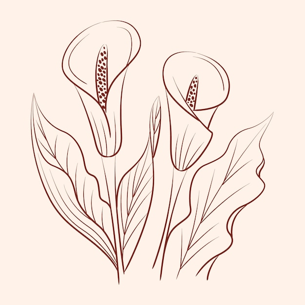 Free vector hand drawn simple flower outline