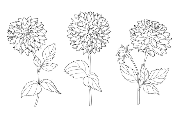 Free vector hand drawn simple flower outline