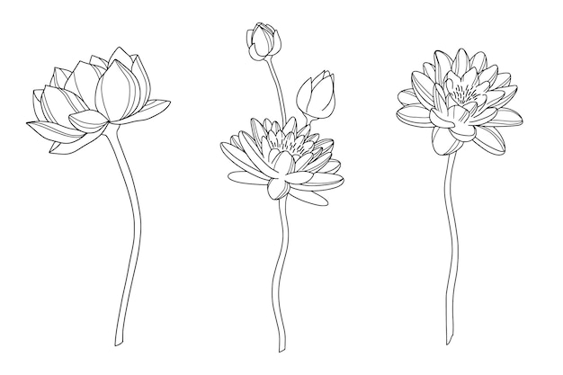 Hand drawn simple flower outline