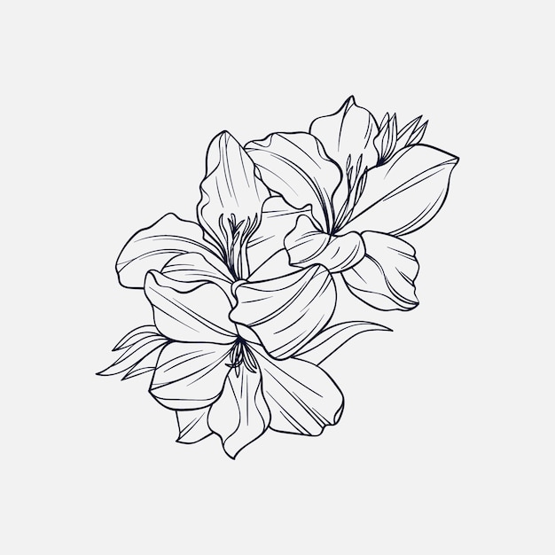 Hand drawn simple flower outline