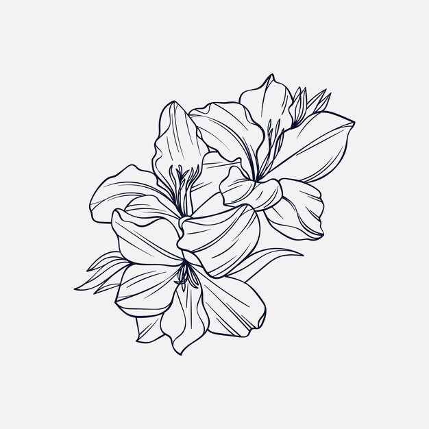 Hand drawn simple flower outline