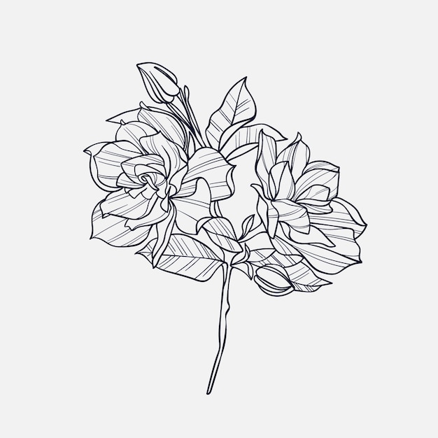 Hand drawn simple flower outline