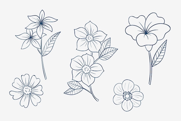 Simple Flower Outline Drawing Vectors