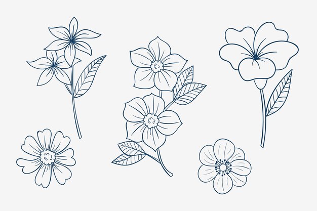 Hand drawn simple flower outline