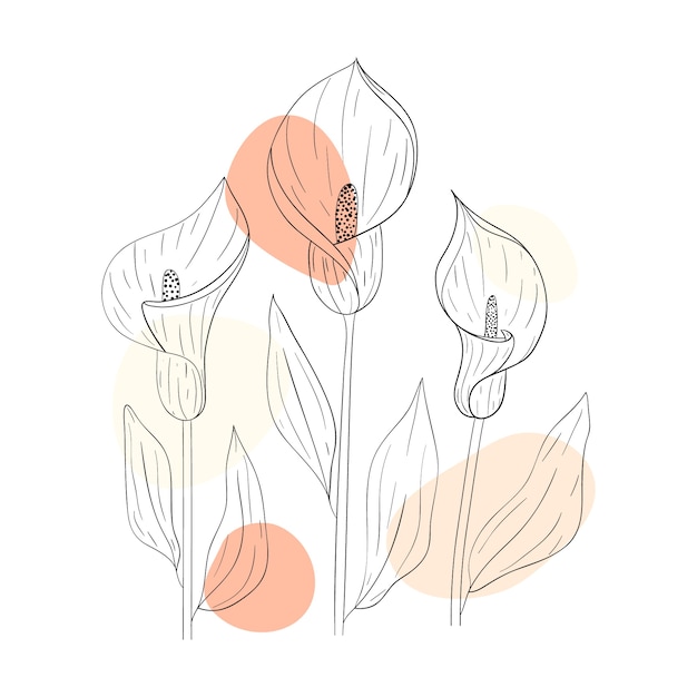 Free vector hand drawn simple flower outline