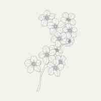 Free vector hand drawn simple flower outline