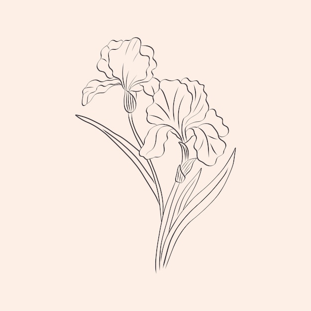 Free vector hand drawn simple flower outline