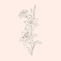 Free vector hand drawn simple flower outline