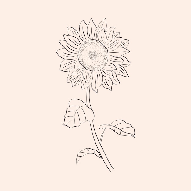 Free vector hand drawn simple flower outline