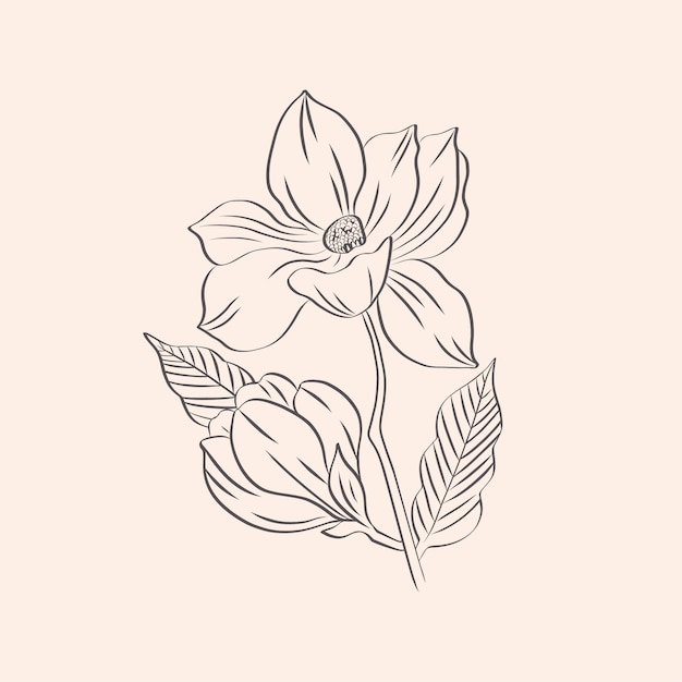 Free vector hand drawn simple flower outline