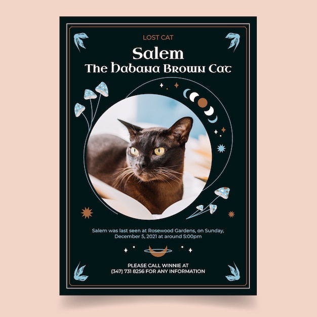 Vettore gratuito modello di poster del gatto smarrito semplice disegnato a mano