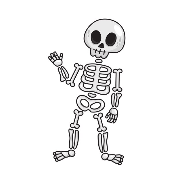 Skeleton Vectors & Illustrations for Free Download