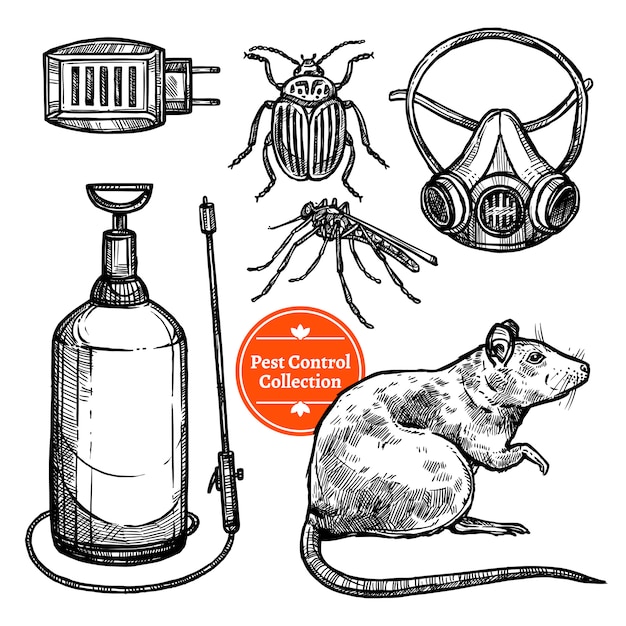 Disegnato a mano sketch pest control