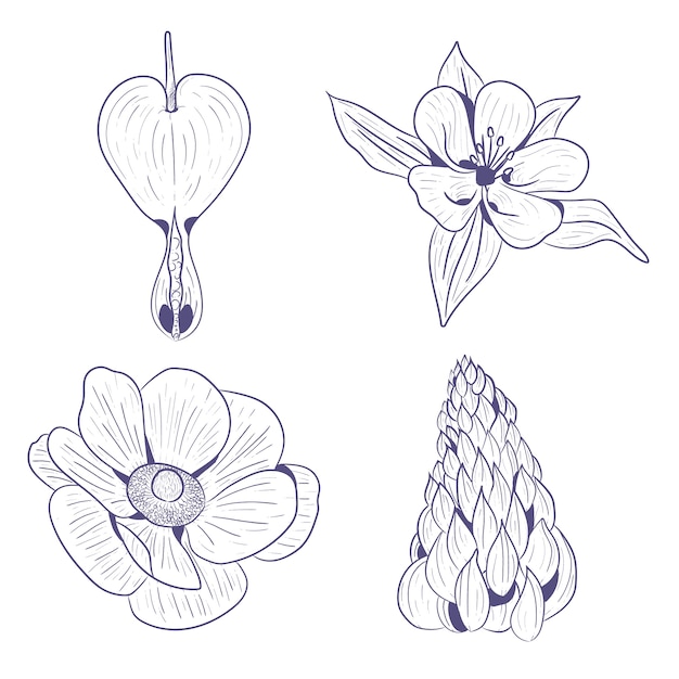 Free vector hand drawn sketches of spring flowers