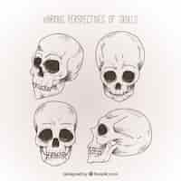 Free vector hand drawn skull background