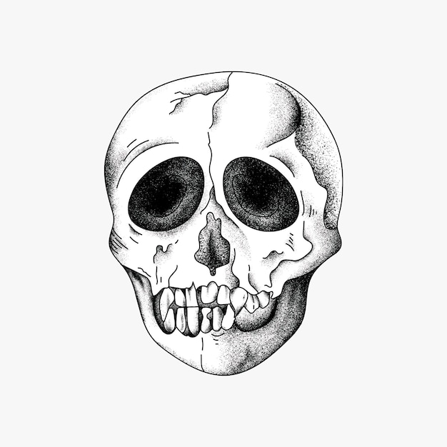 Hand drawn skull