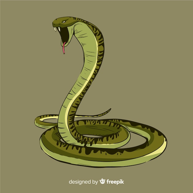 Vettore gratuito illustrazione di serpente disegnato a mano