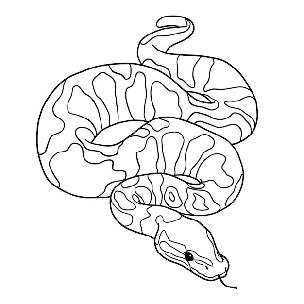 Нарисованная рукой иллюстрация контура змеи