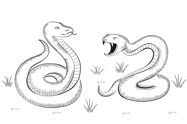 Hand drawn snake outline illustration