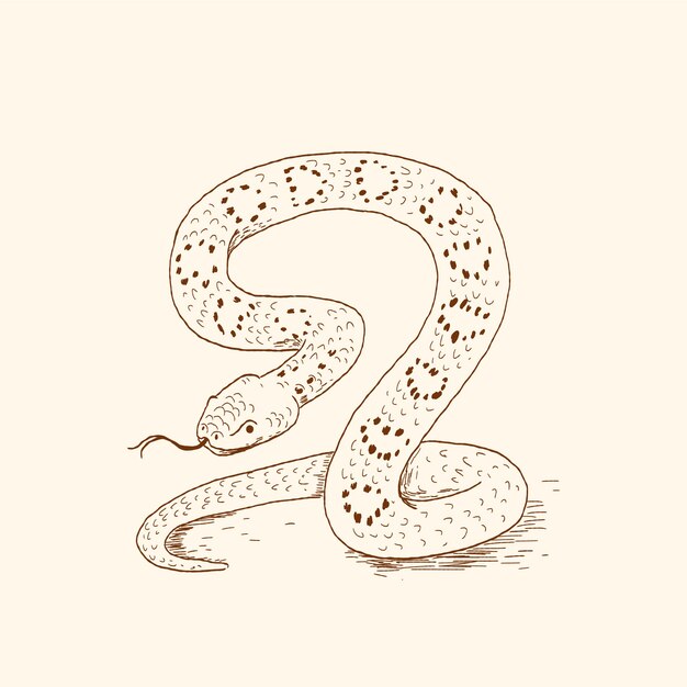 Vettore gratuito illustrazione del profilo del serpente disegnato a mano