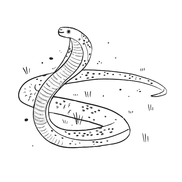 Hand drawn snake outline illustration