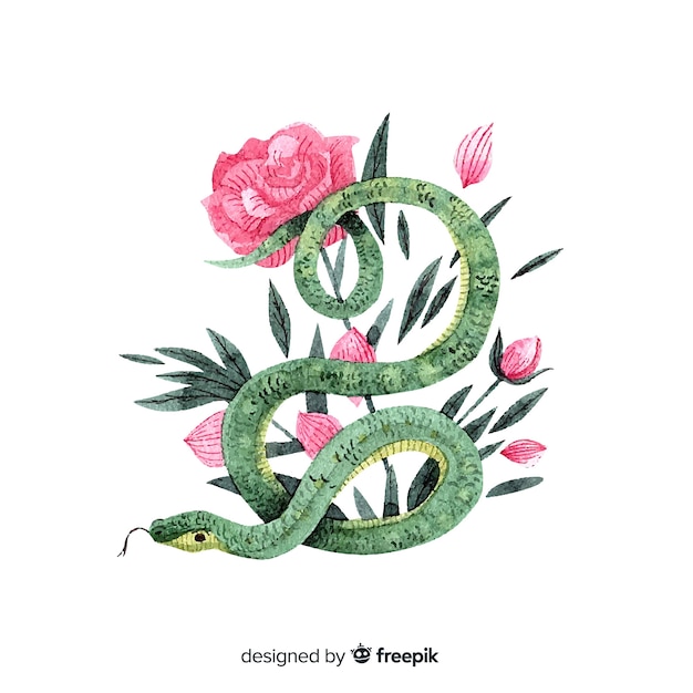 Hand drawn snake with rose background