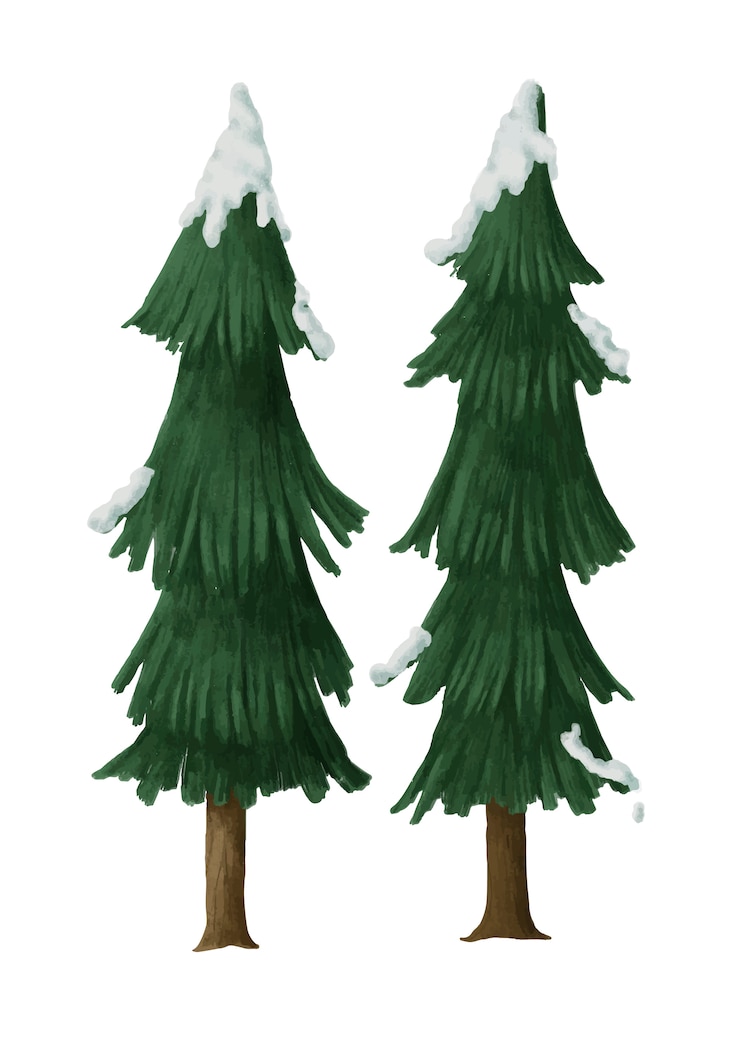 Free Vector hand-drawn snowcapped pine trees