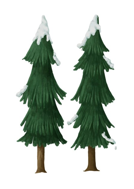 Hand-drawn snowcapped pine trees