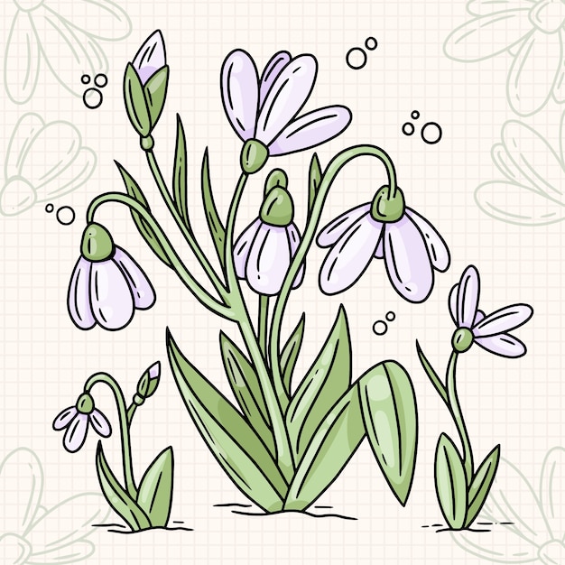 Free vector hand drawn snowdrop flower illustration