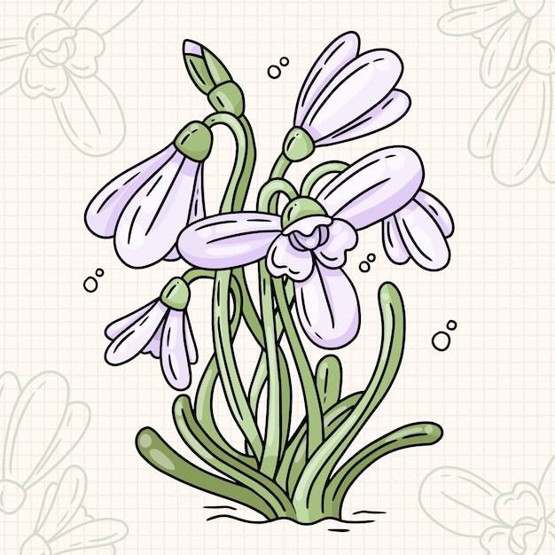 Free vector hand drawn snowdrop flower illustration