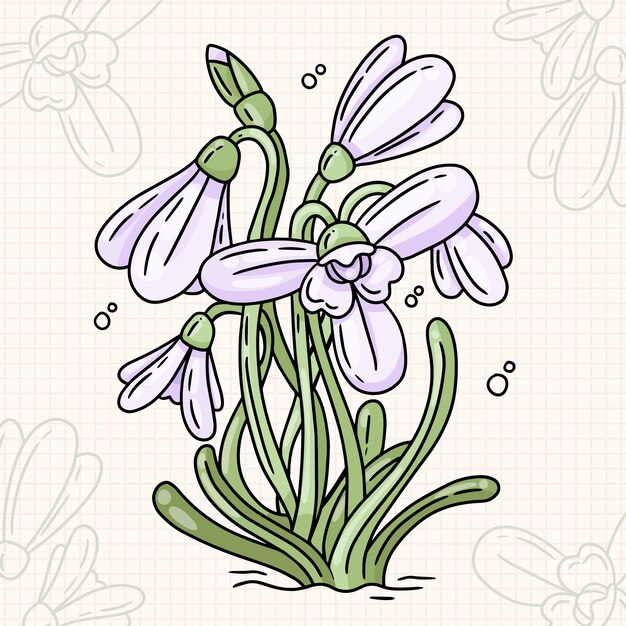 Hand drawn snowdrop flower illustration