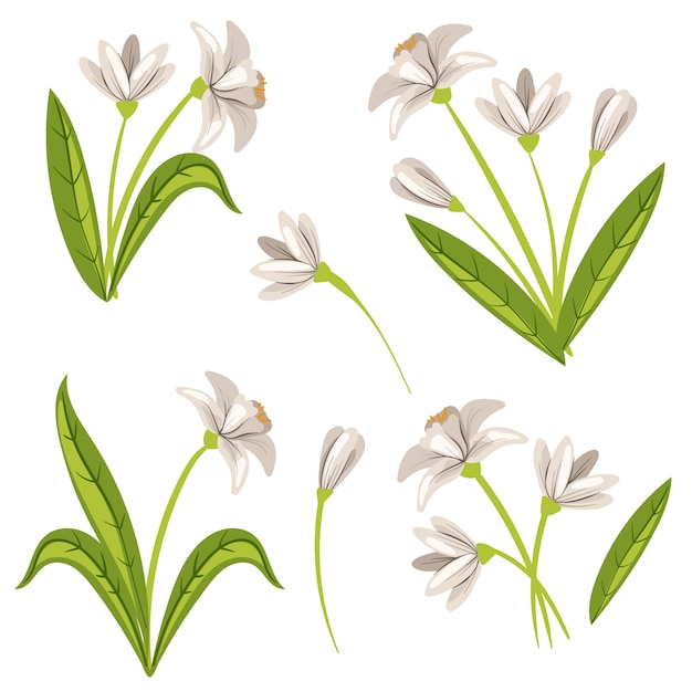 Free vector hand drawn snowdrop illustration