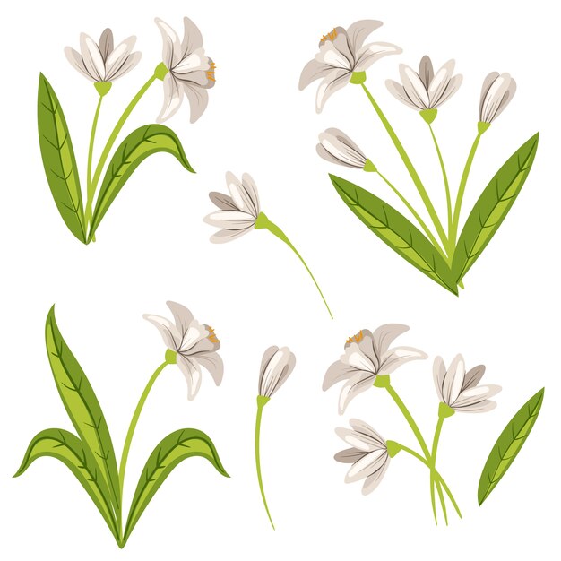 Hand drawn snowdrop illustration