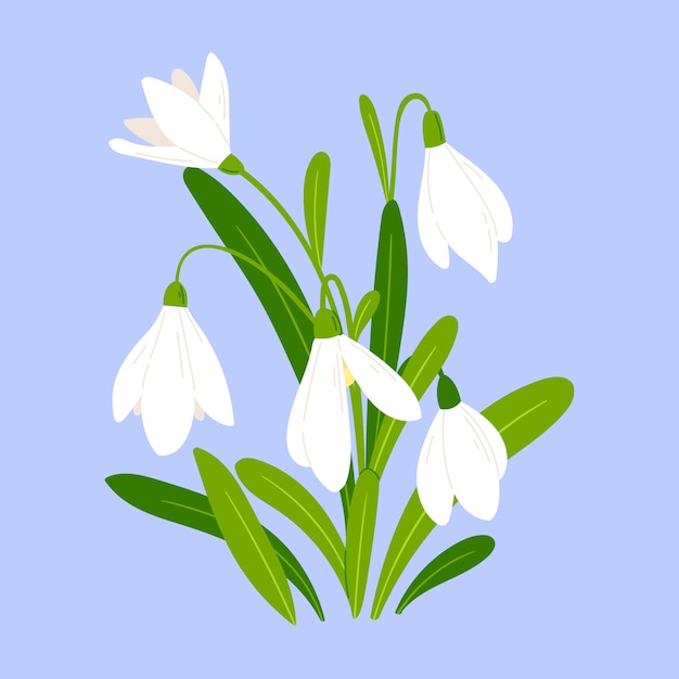 Free vector hand drawn snowdrop illustration