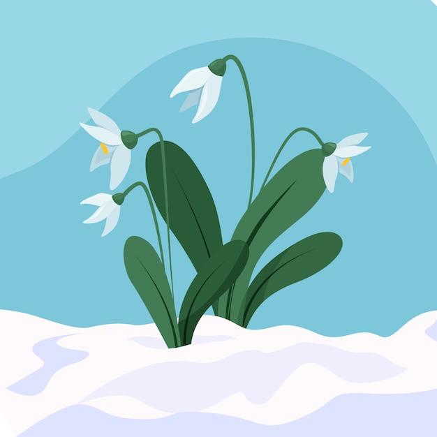 Free vector hand drawn snowdrop illustration