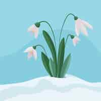 Free vector hand drawn snowdrop illustration