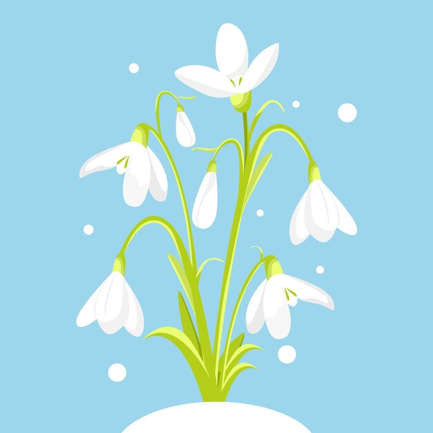 Hand drawn snowdrop illustration