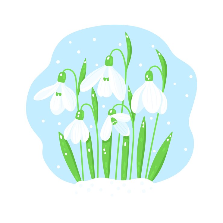 Free Vector hand drawn snowdrop illustration