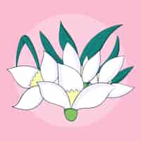 Free vector hand drawn snowdrop plant illustration