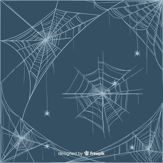 Hand drawn spider cobweb collection