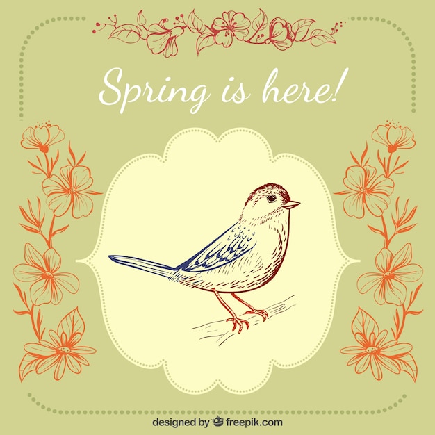 Free vector hand drawn spring background