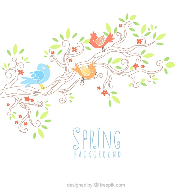 Free vector hand drawn spring background