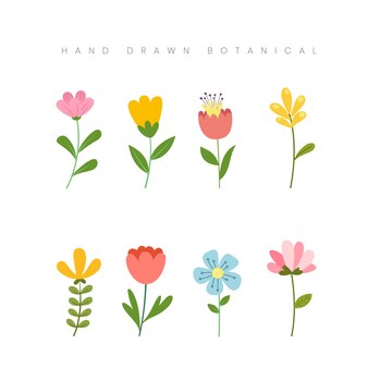 Hand drawn spring botanical concept flower floral illustration