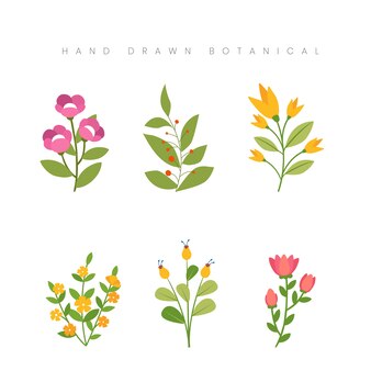 Hand drawn spring botanical concept flower floral illustration