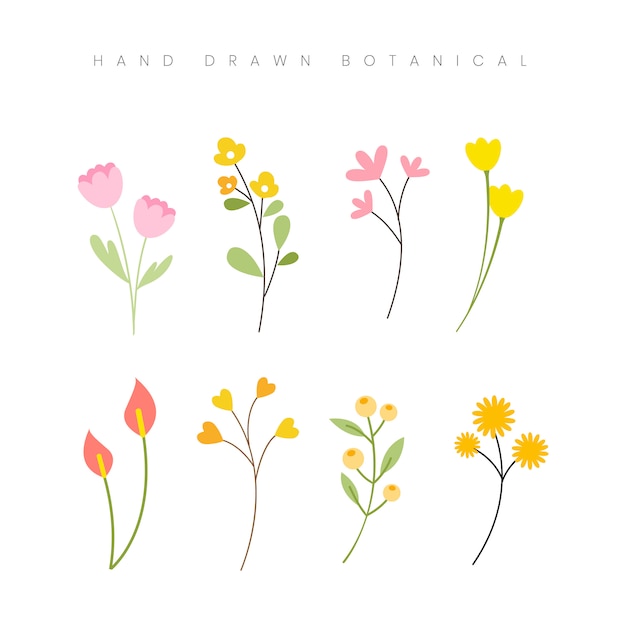 Hand drawn spring botanical flower floral elements set illustration